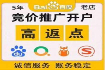 某电商平台的SEM推广策略全解析