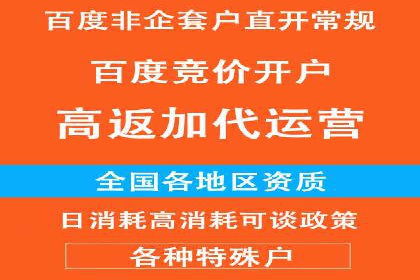 SEM推广案例：提升网站转化率策略解析